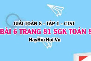 Giải bài 6 trang 81 Toán 8 Tập 1 SGK Chân trời sáng tạo